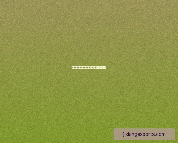 吉祥坊平台安全性与可靠性全面分析与用户体验评测